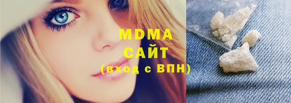 индика Осташков